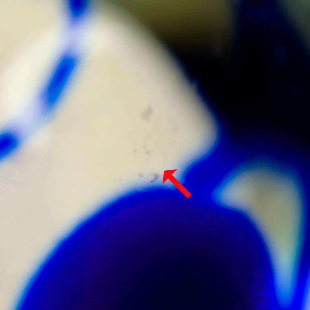 KOSTA BODA コスタボダ バーティル・ヴァリーン ペーパーウエイト