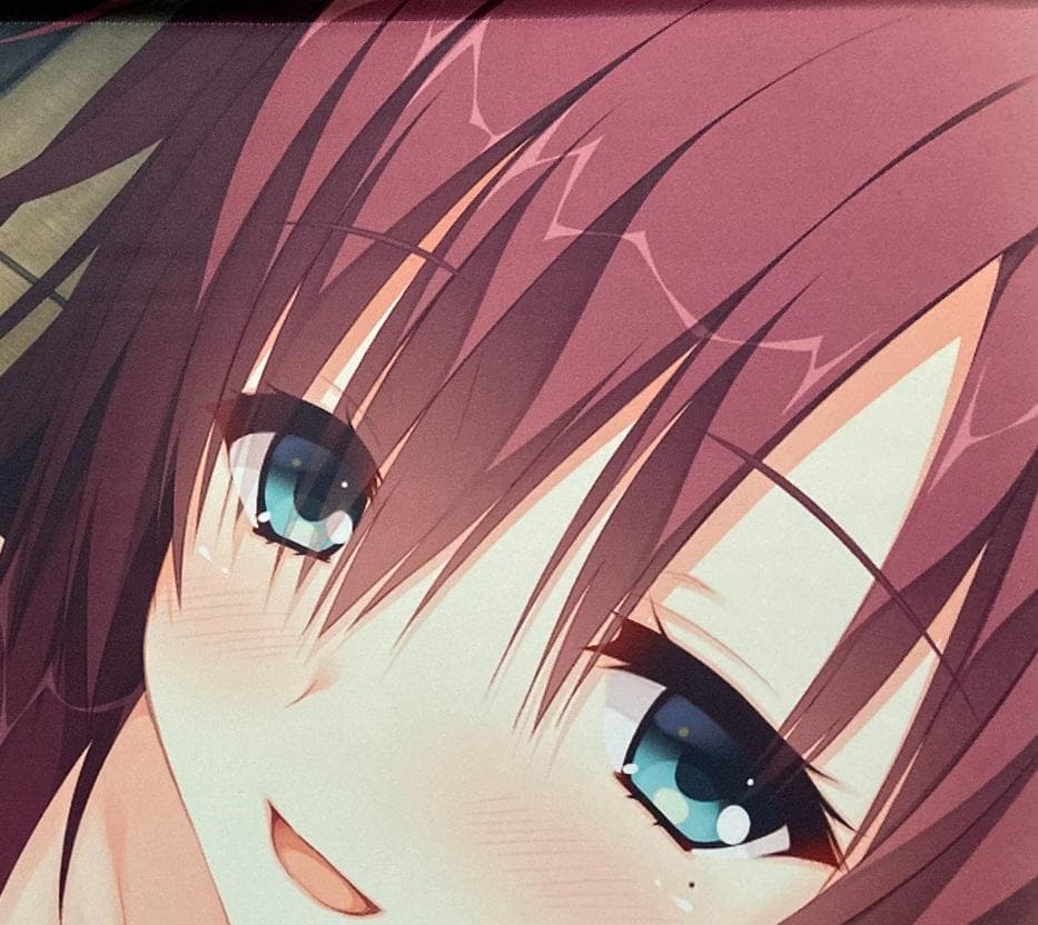 馬庭芦花 特大タペストリー 千恋*万花 ゆずソフト トイプラ こぶいち むりりん