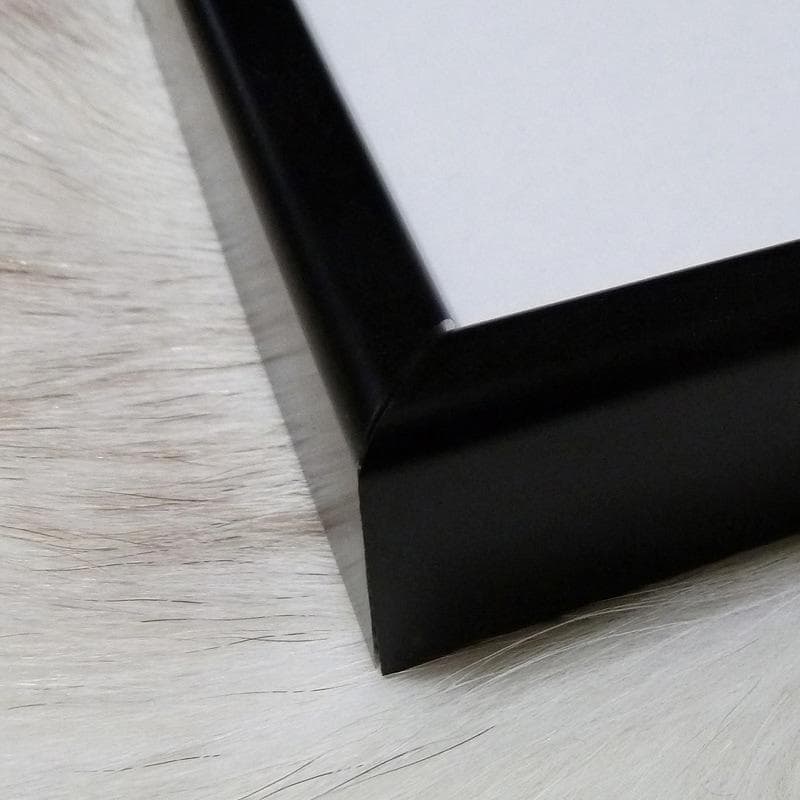 額装済作品/森山大道/EYEBALL 1980/インテリア/アート