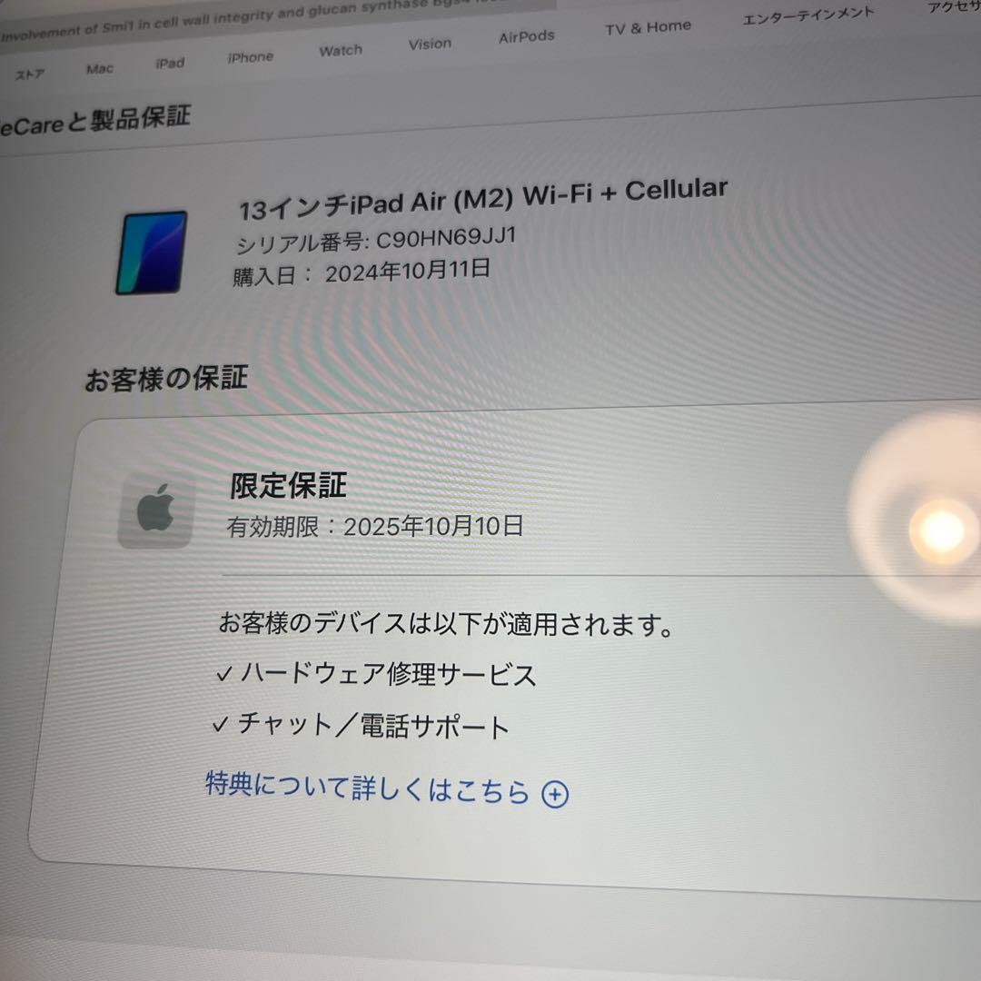 24日まで iPad Air (M2) 1TB 13インチwifi + セルラー