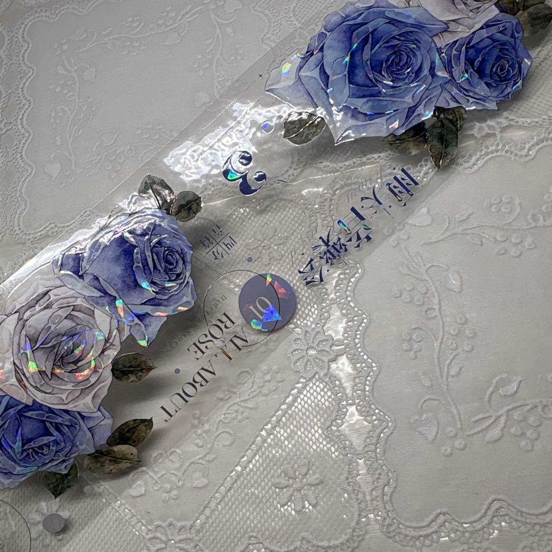 【１０】 海外 マステ 中古巻 PET マスキング テープ