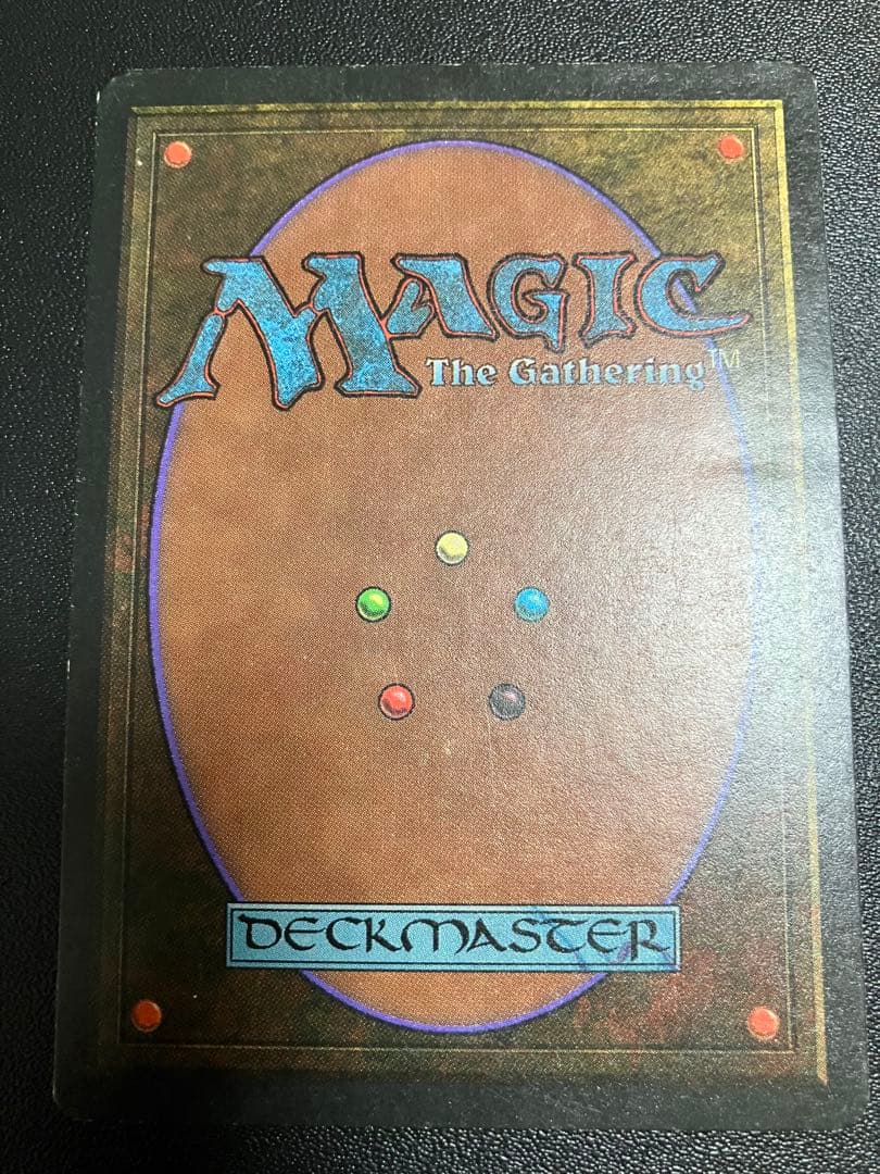 マジック : ザ・ギャザリング MTG Bayou