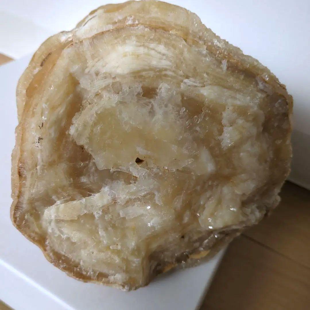 鍾乳石　4.9キロ