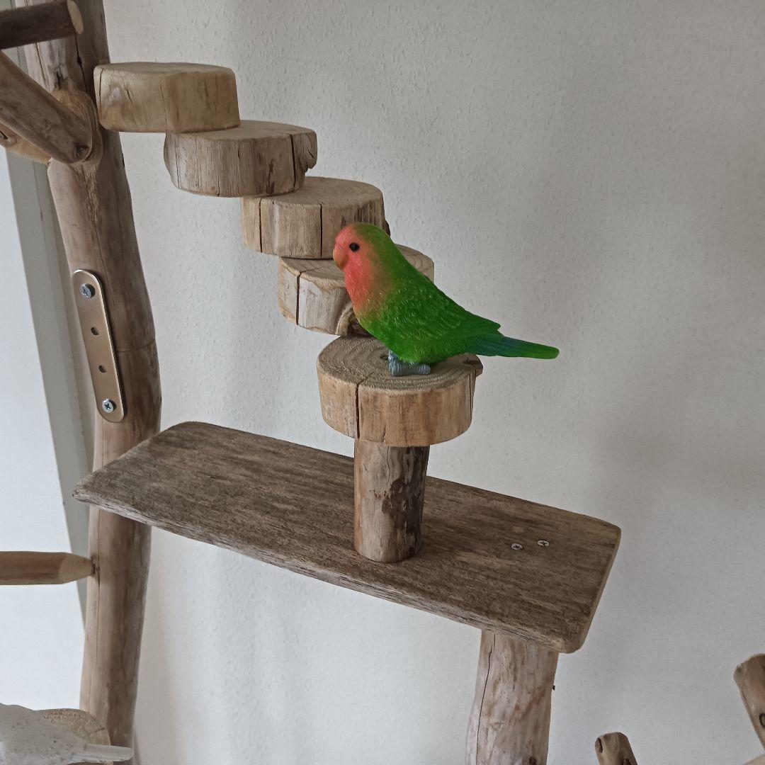 バードアスレチックジム大型 ⑫ 天然木 自然木 流木 インコ おもちゃ