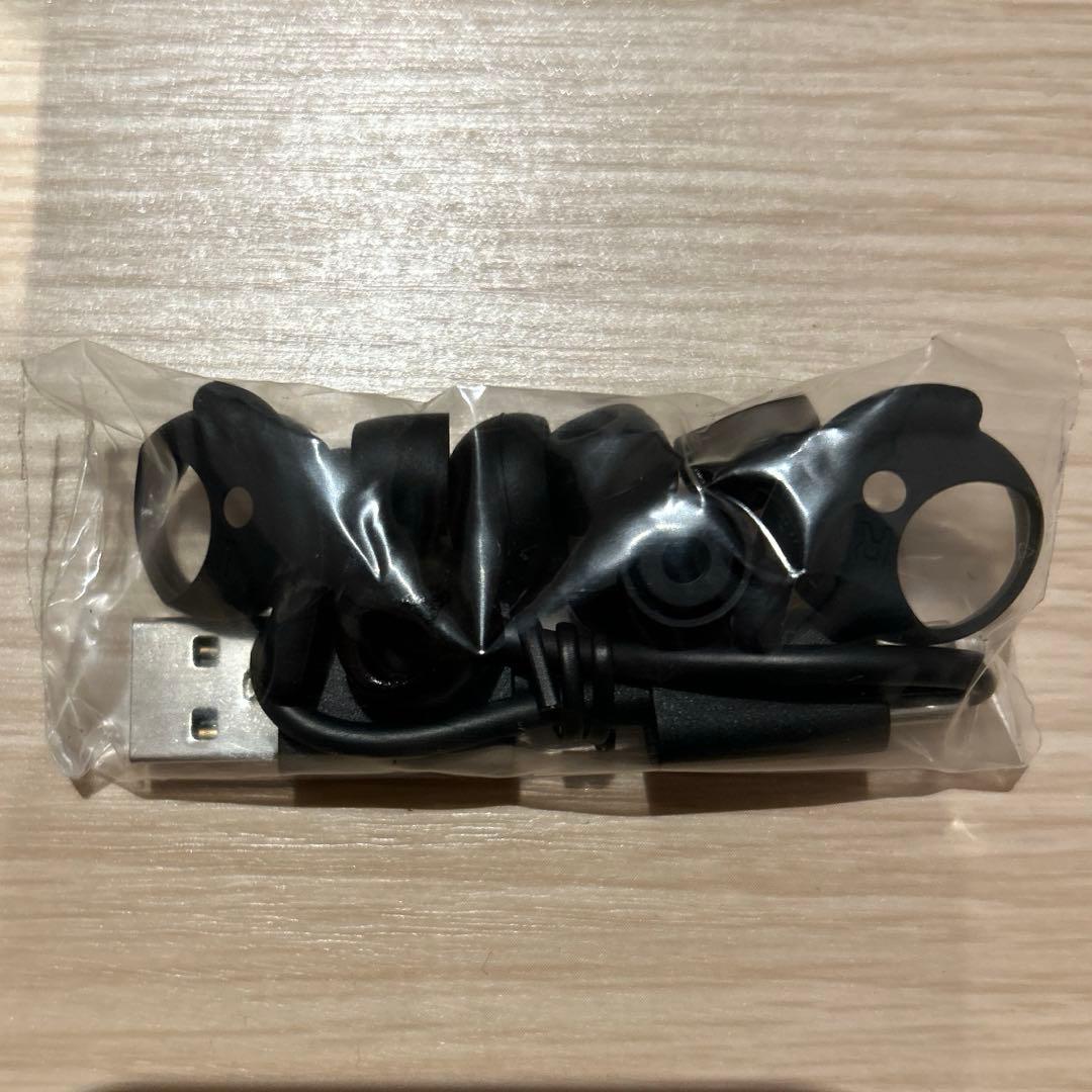 DENON Denon PerL Pro ワイヤレスイヤホン