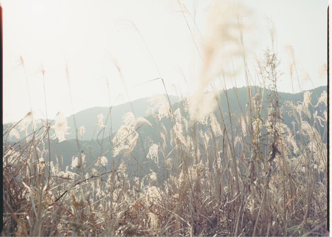 フィルムカメラ Mamiya645 super MAMIYA SEKOR C 80mmF2.8