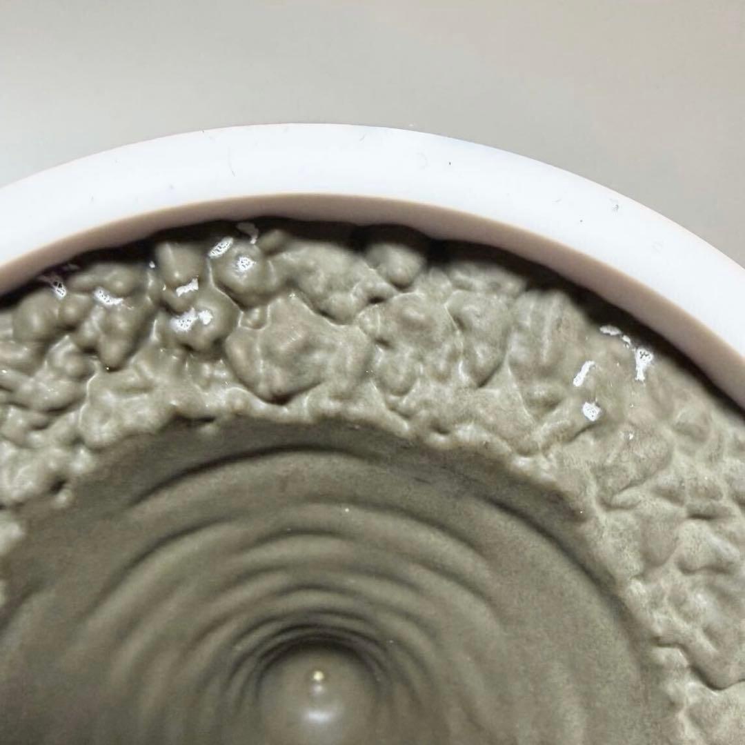 メディコムトイ パキポディウム グラキリス アトモス アニマル フィギュア