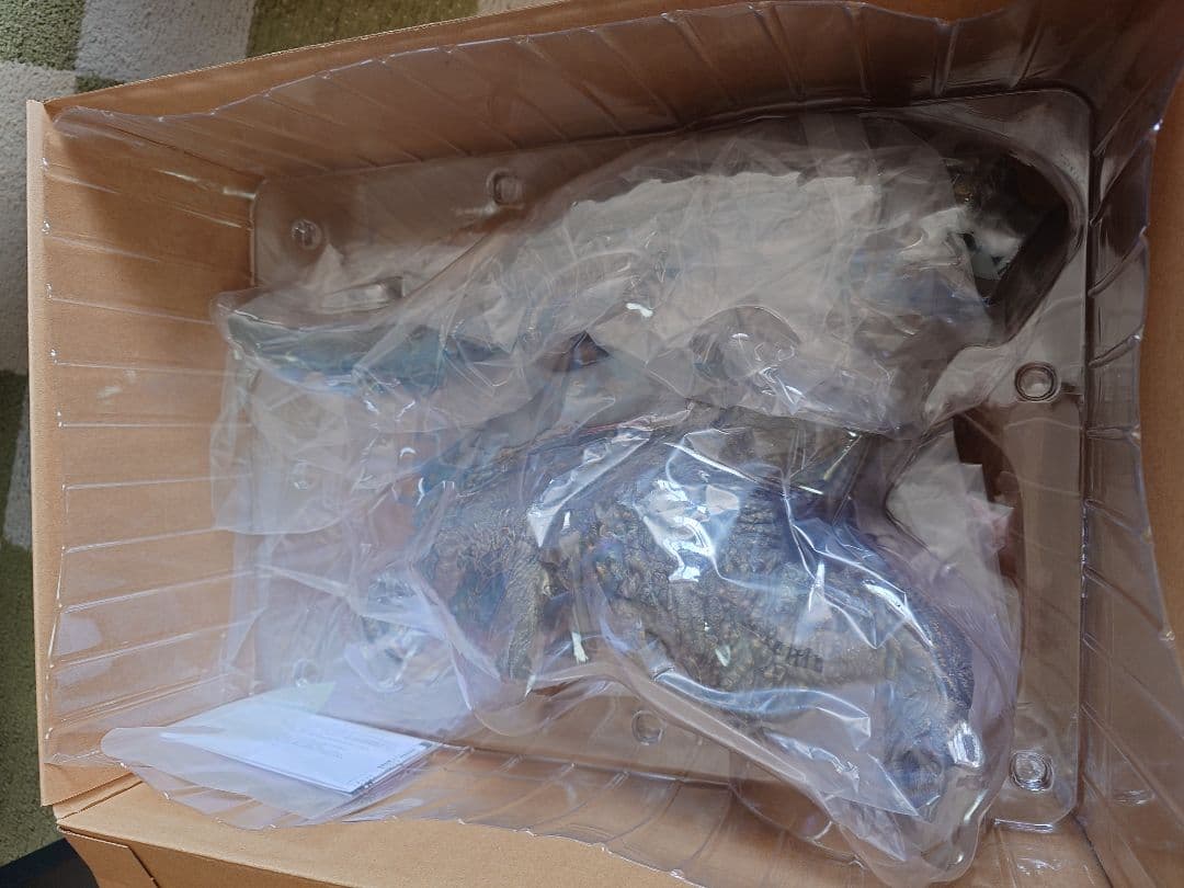 東宝30cmシリーズ ゴジラ(2023)少年リック限定版