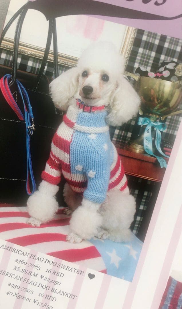 Fifi&Romeoカシミヤセーター⭐︎SS⭐︎犬服フィフィ&ロメオ