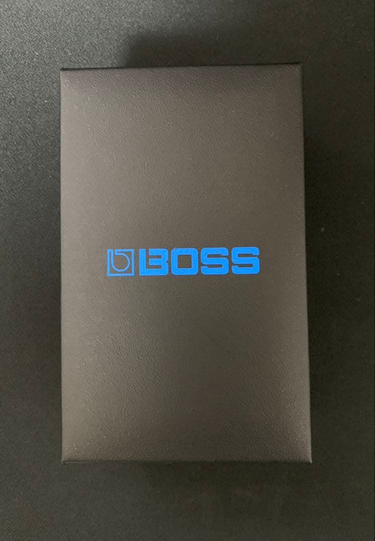 箱・説明書付きBOSS NS-2