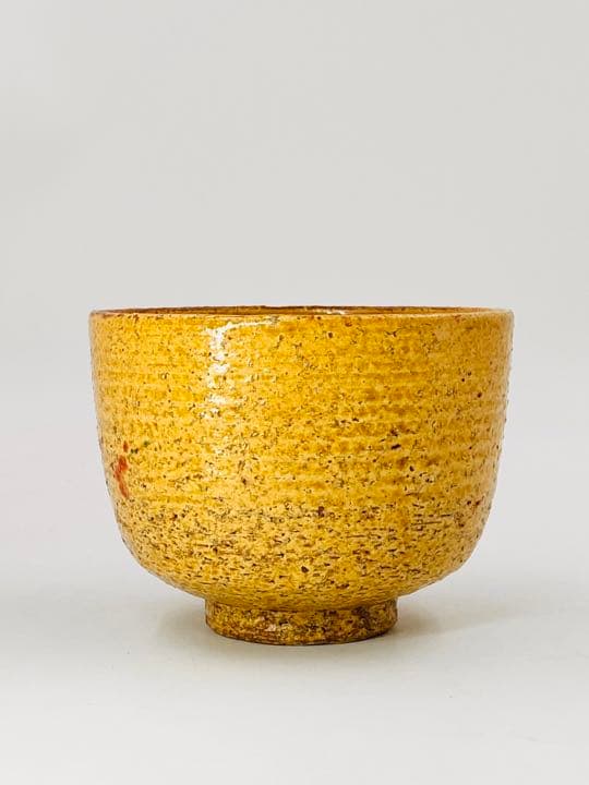 【南口閑粋】紅梅絵茶碗　杣山焼　桐共箱　底部在銘　美品