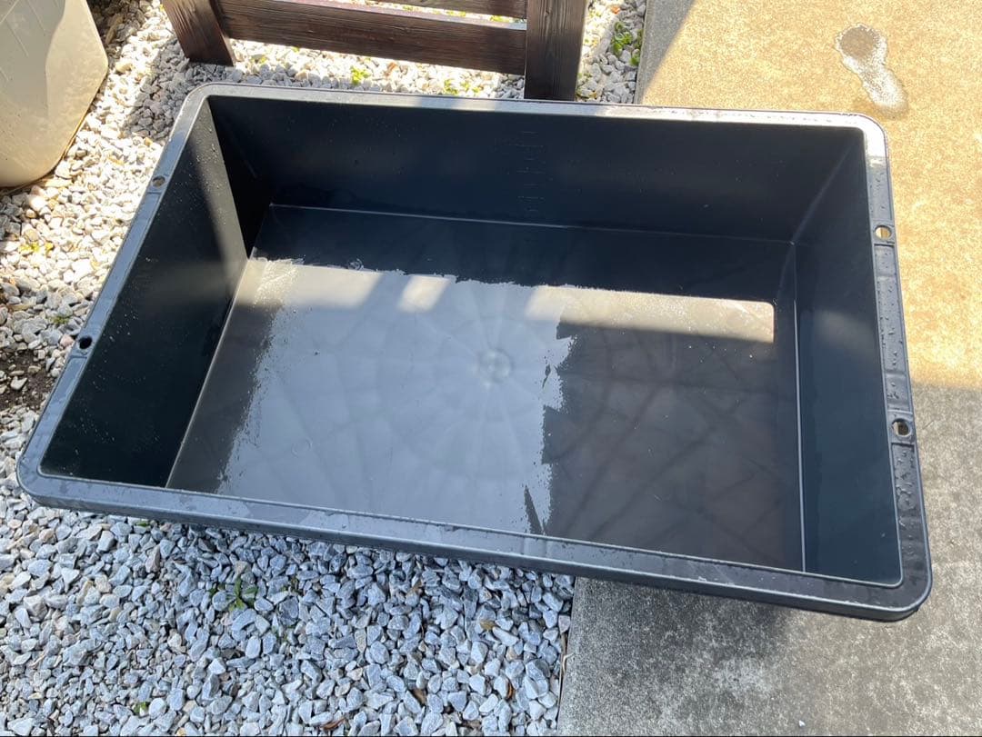 【新品・送料込】メダカ　飼育ケース　80Lトロ舟＋木枠のセット　ウォールナット