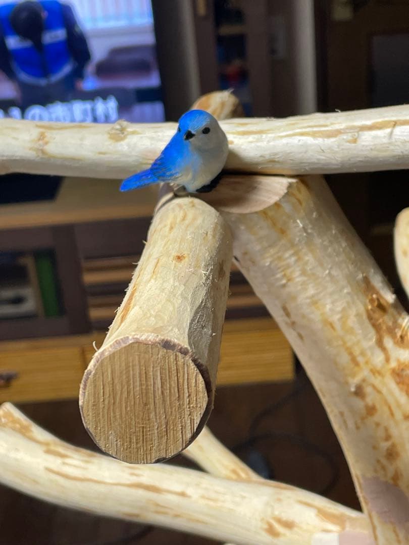 天然木白木バードジム　高さ92センチ