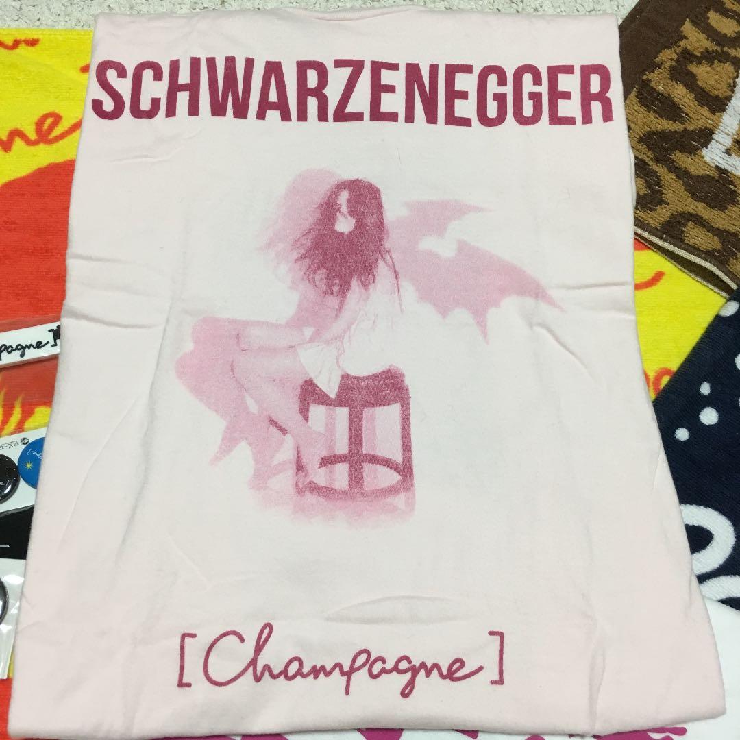 [Alexandros]★[Champagne]時代のグッズセット★バラ売相談可