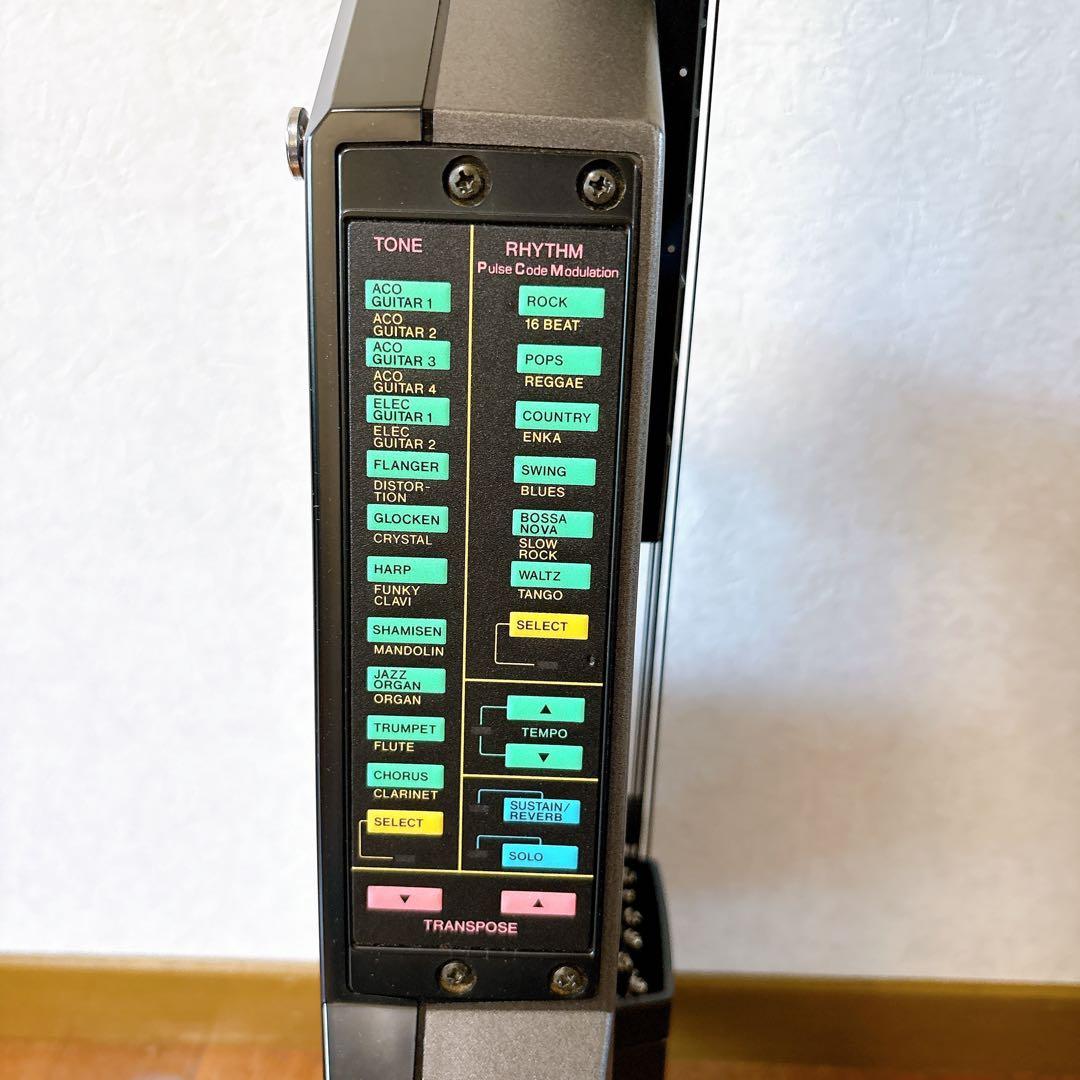 CASIO デジタルギター DG-20 digital guitar エレキ