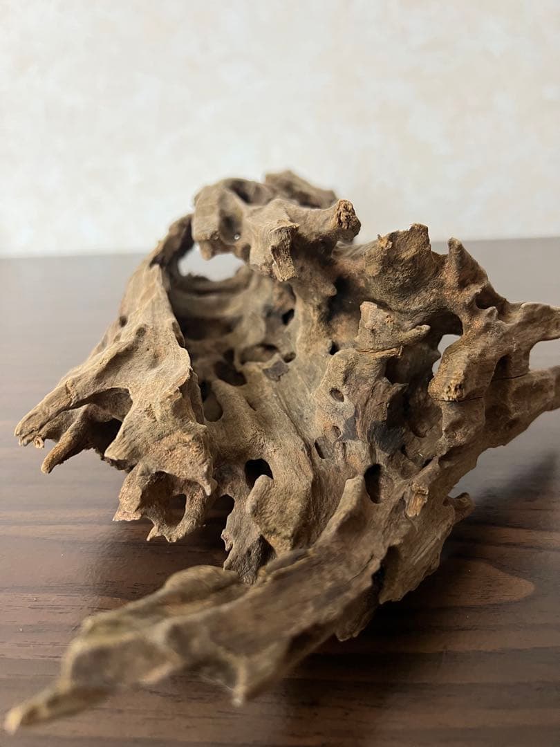 (XM-158) 流木　マシンガンウッド　ブランチウッド　アクアリウム