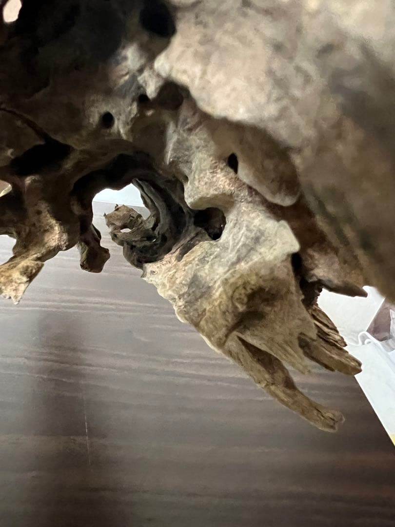 (XM-158) 流木　マシンガンウッド　ブランチウッド　アクアリウム