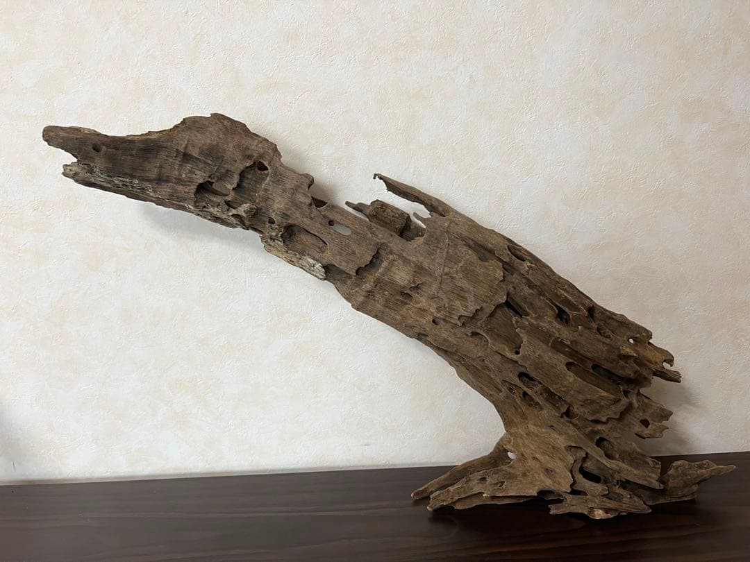 (XM-158) 流木　マシンガンウッド　ブランチウッド　アクアリウム