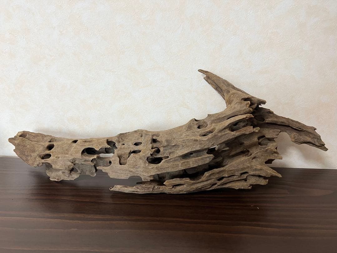 (XM-158) 流木　マシンガンウッド　ブランチウッド　アクアリウム