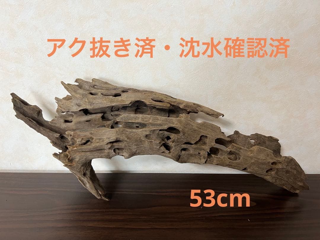(XM-158) 流木　マシンガンウッド　ブランチウッド　アクアリウム