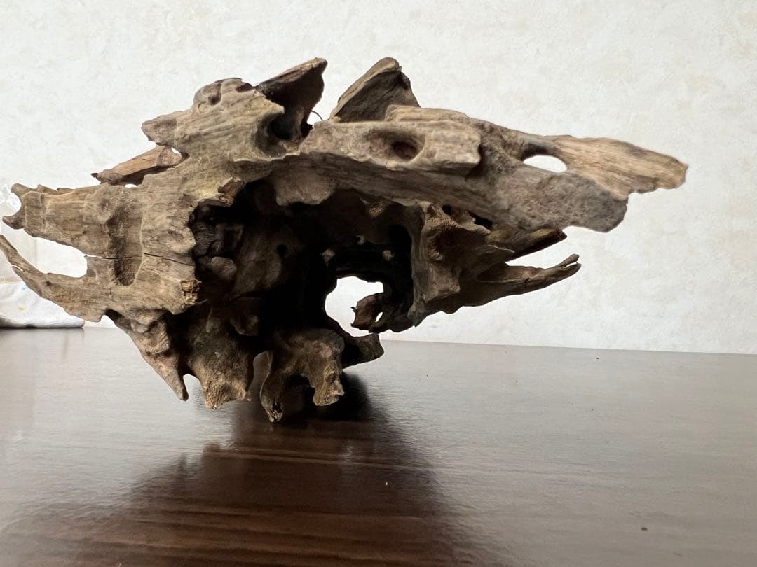 (XM-158) 流木　マシンガンウッド　ブランチウッド　アクアリウム