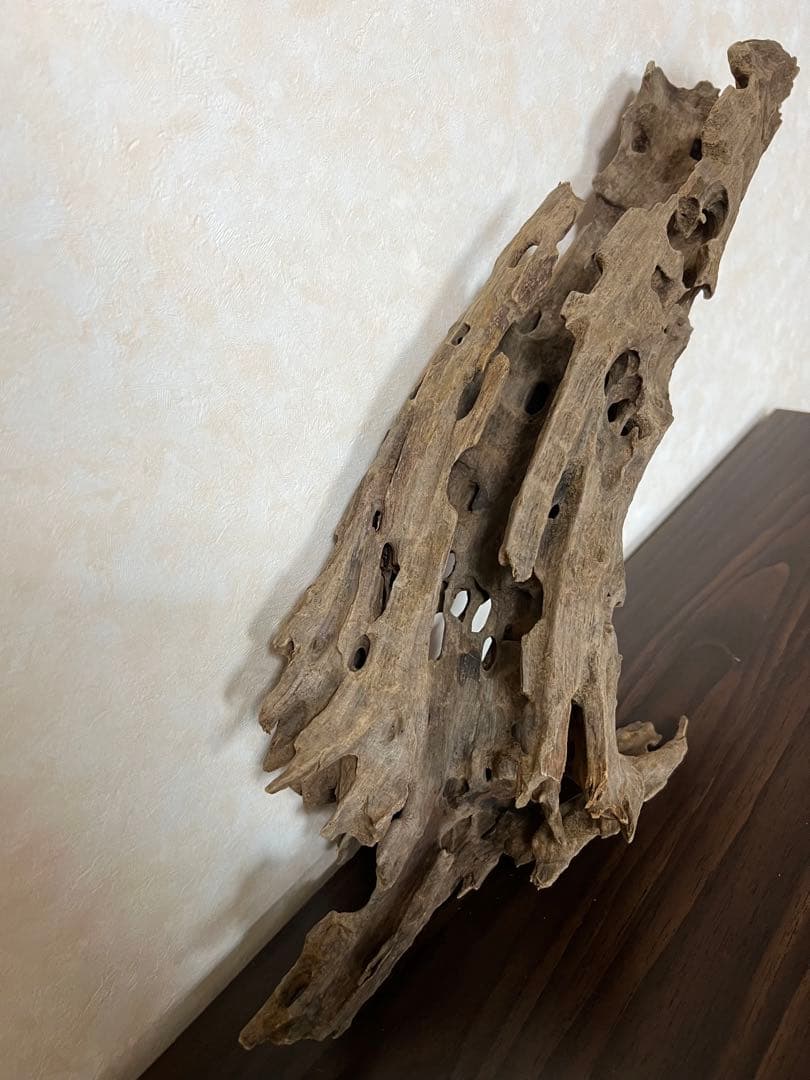 (XM-158) 流木　マシンガンウッド　ブランチウッド　アクアリウム