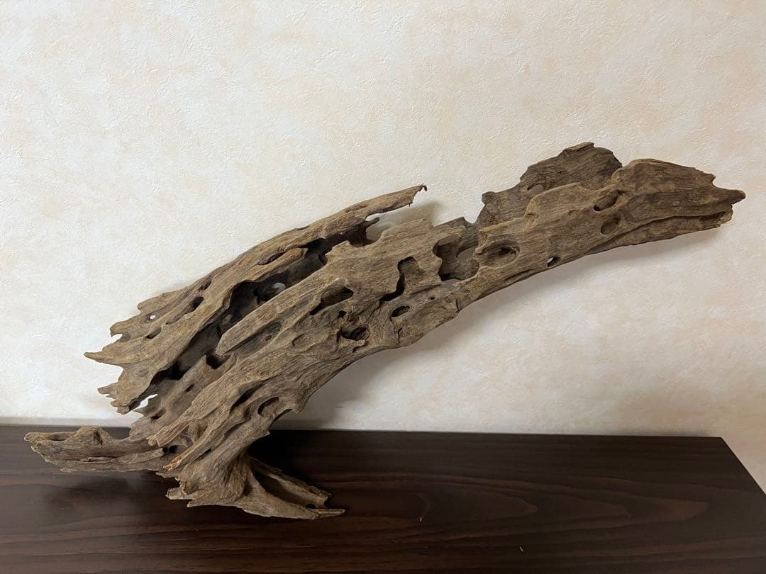 (XM-158) 流木　マシンガンウッド　ブランチウッド　アクアリウム