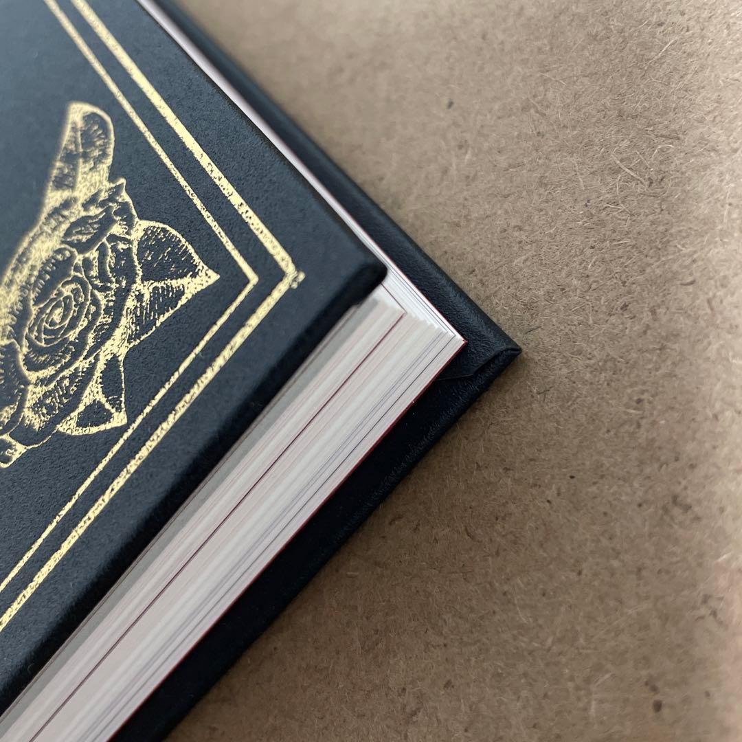 ヒグチユウコ　ボリス雑貨店　特装版　メイン画集