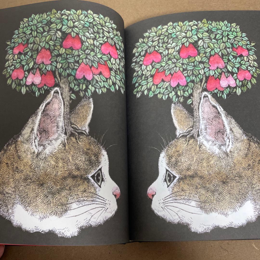 ヒグチユウコ　ボリス雑貨店　特装版　メイン画集