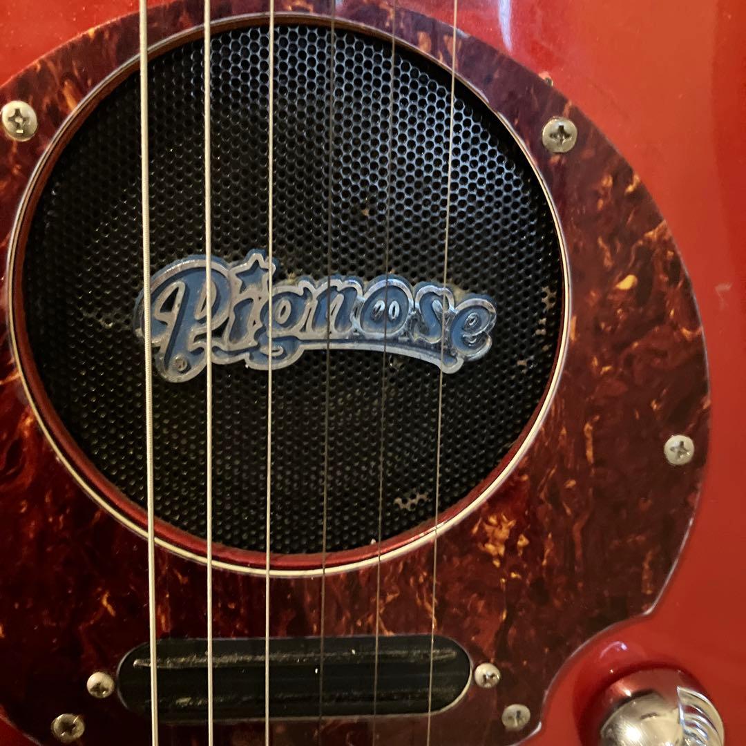 ピグノーズPGG レッド