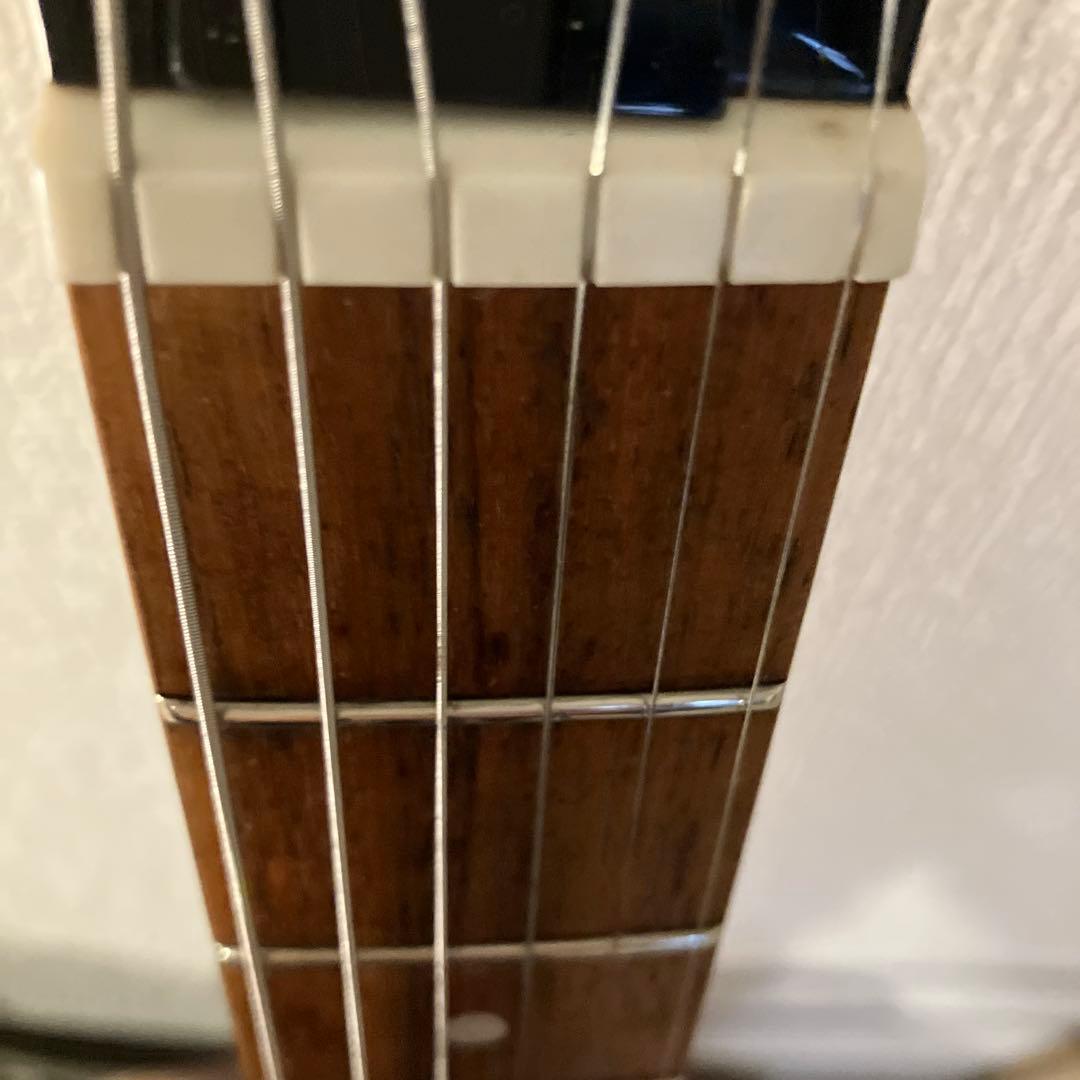 ピグノーズPGG レッド