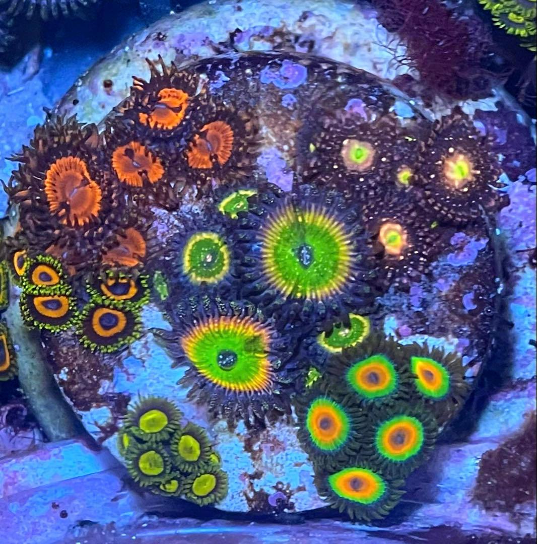 Yasu様　2点セット