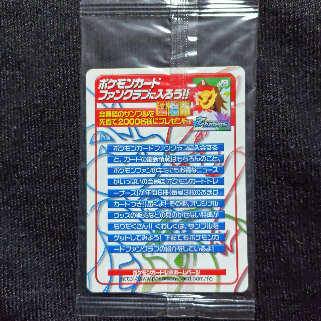 ポケモンカード e ピチュー兄弟 入りグッズセット ポケカ プロモ PTCG