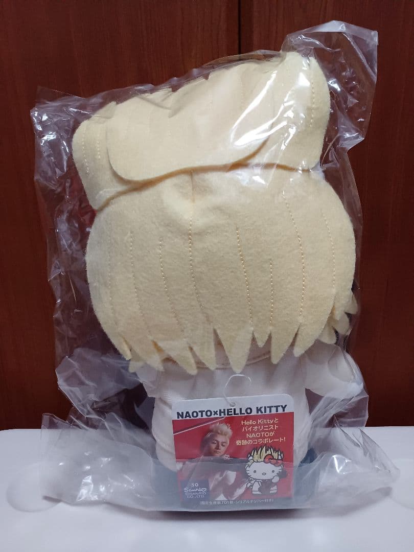 NAOTO 　ナオキティ　ポルノグラフィティ　バイオリニスト