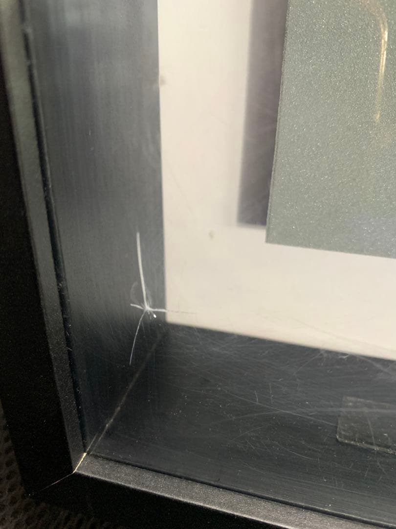 オーベルチュールオオツノカナブン