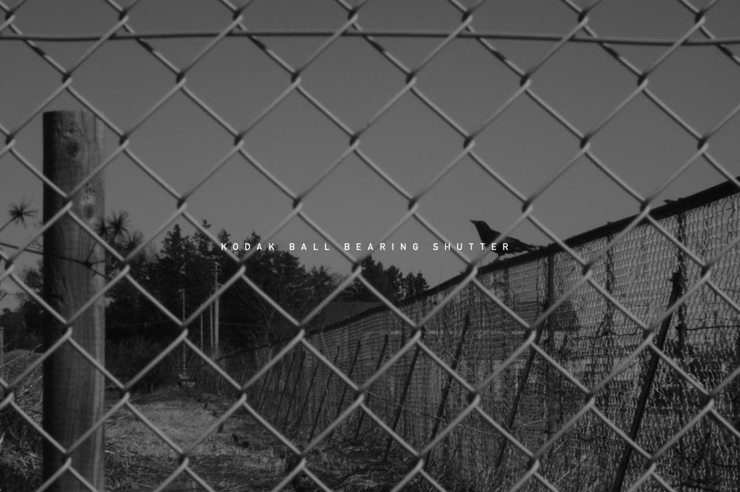 M42改造レンズ ベス単 KODAK BALL BEARING SHUTTER