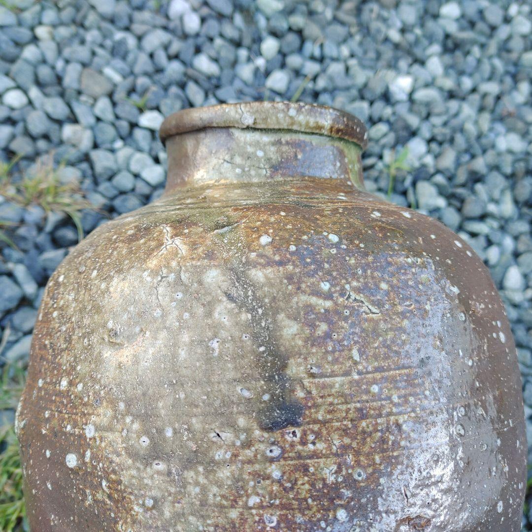 信楽壷です。②　#骨董