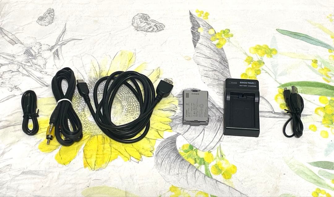 【外箱 超美品】Canon キャノン　ビデオカメラ iVIS HF R21