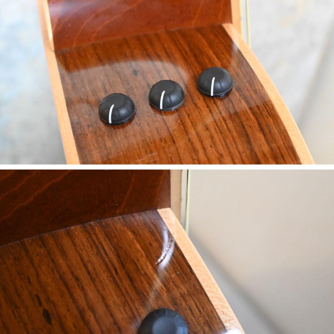 Taylor 810e ハードケース付 テイラー 810