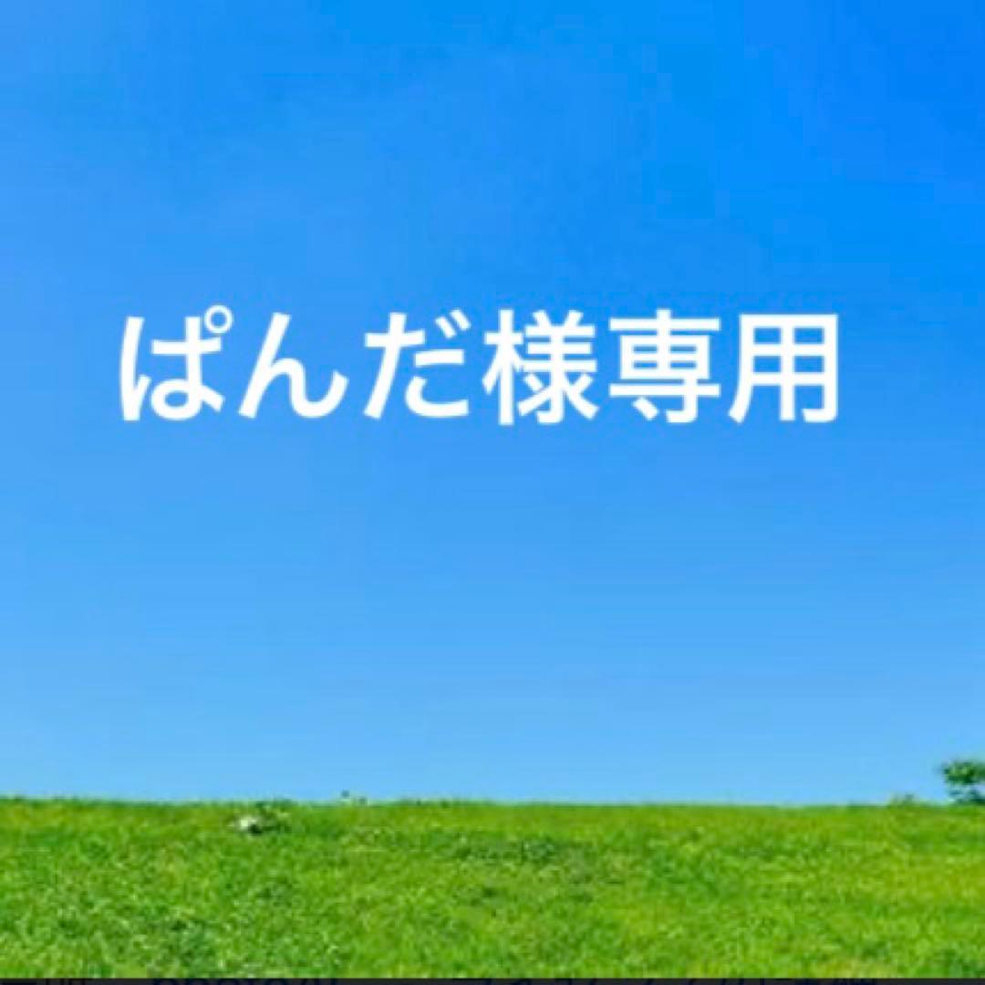 未使用　agnes b. アニエスベー レザー三つ折り財布　ターコイズ