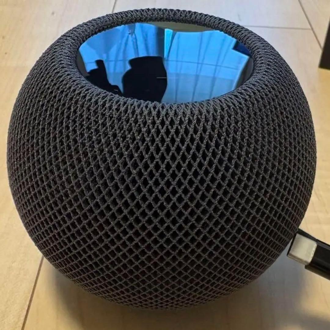 Pod mini スペースグレー　箱付き Apple