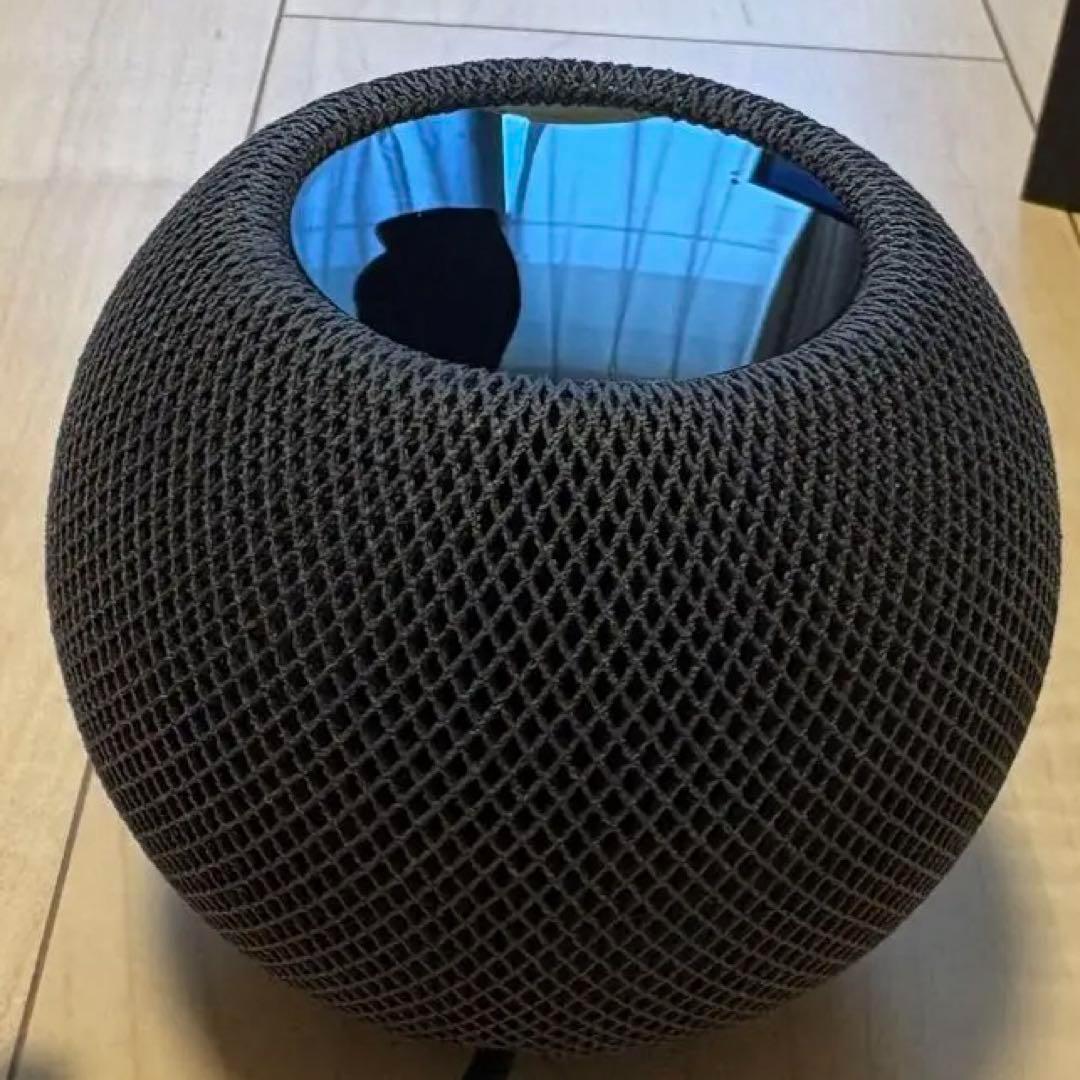 Pod mini スペースグレー　箱付き Apple