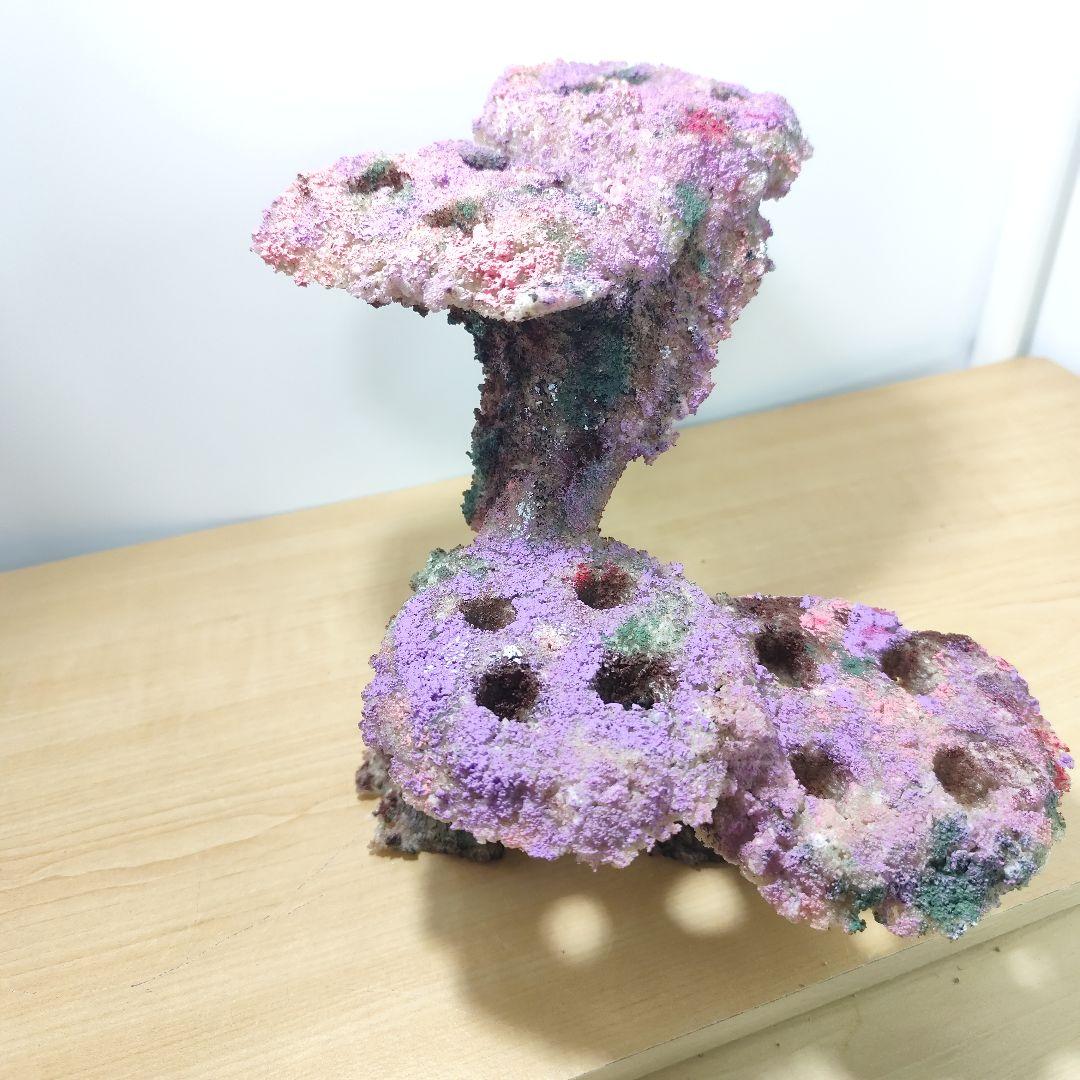 プラグ穴付き アク抜き不要人工ライブロック 海水水槽 レプリカ コーラルフラグ3
