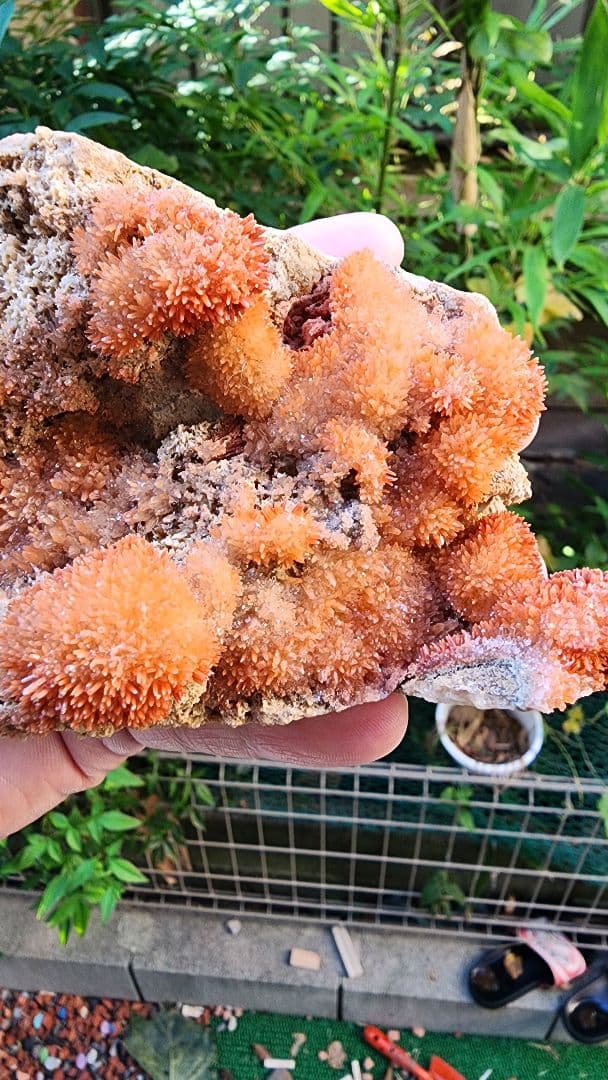 オレンジアラゴナイト