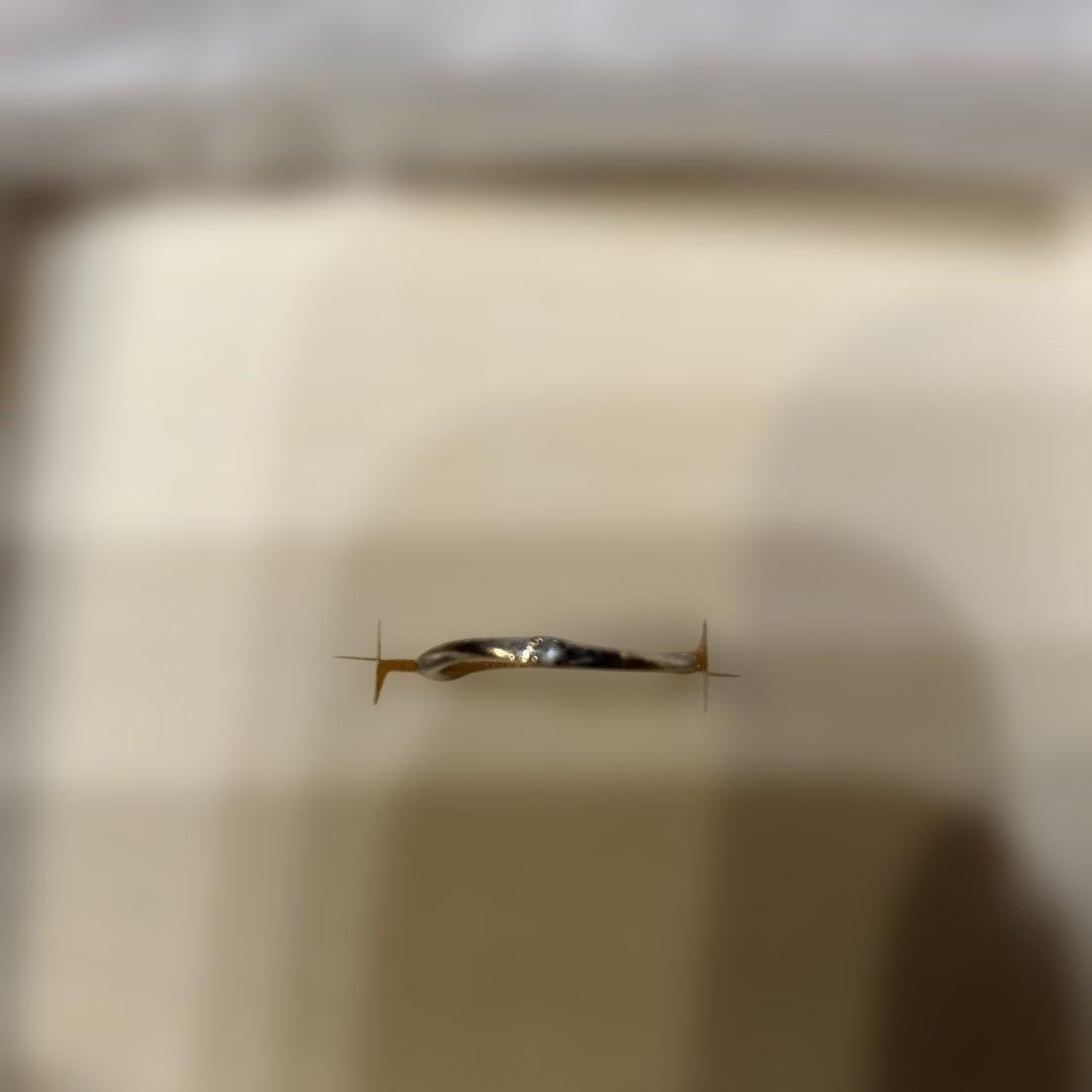 カラス！！4℃ 10金ホワイトゴールド2号　10金ピンクゴールド2号