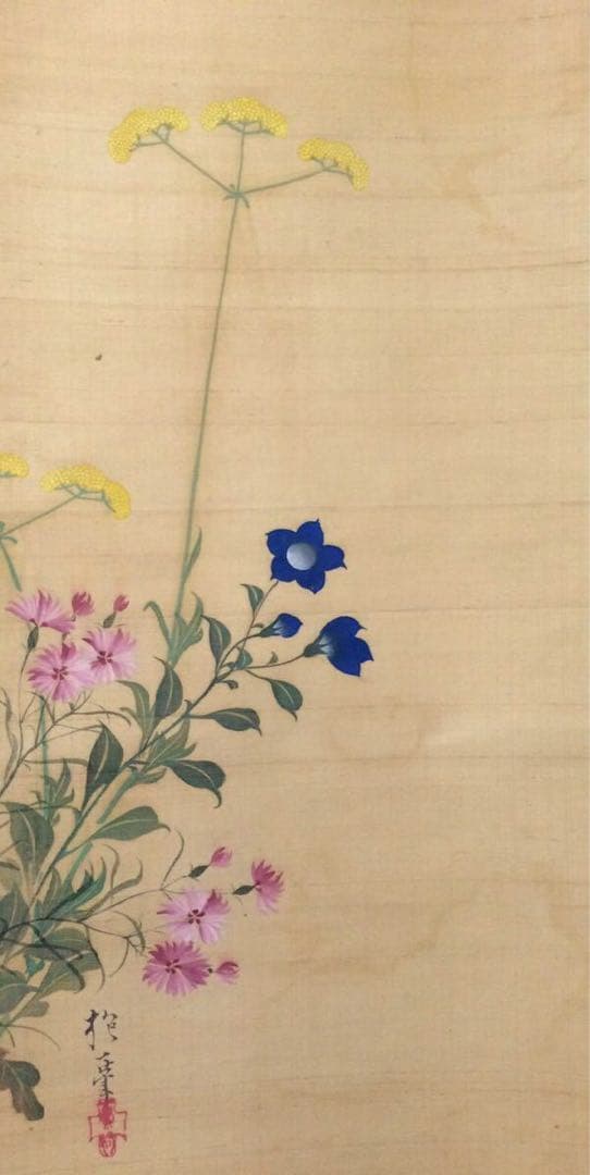 模写　酒井抱一 『秋草之図』 /掛軸 肉筆 時代箱　日本画