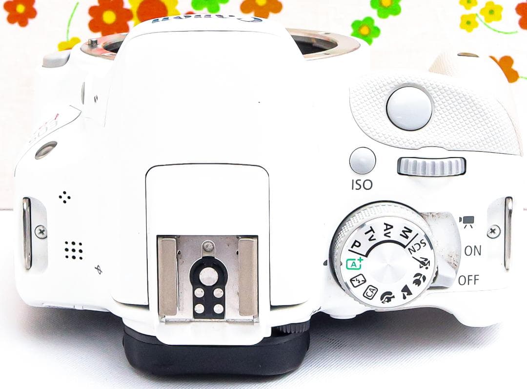 Canon kiss x7☆希少ホワイト☆スマホに転送☆高性能レンズ！