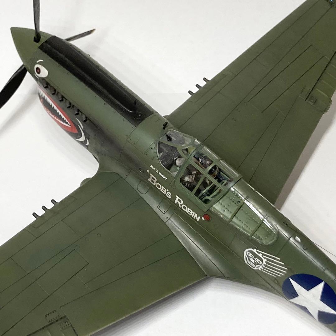 ムスタング/P-40E Warhawk (完成品)1/48 ハセガワ