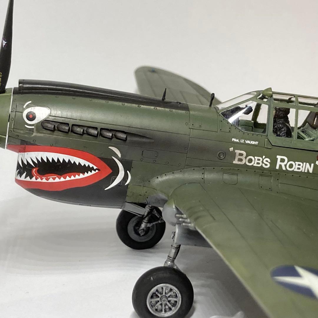ムスタング/P-40E Warhawk (完成品)1/48 ハセガワ
