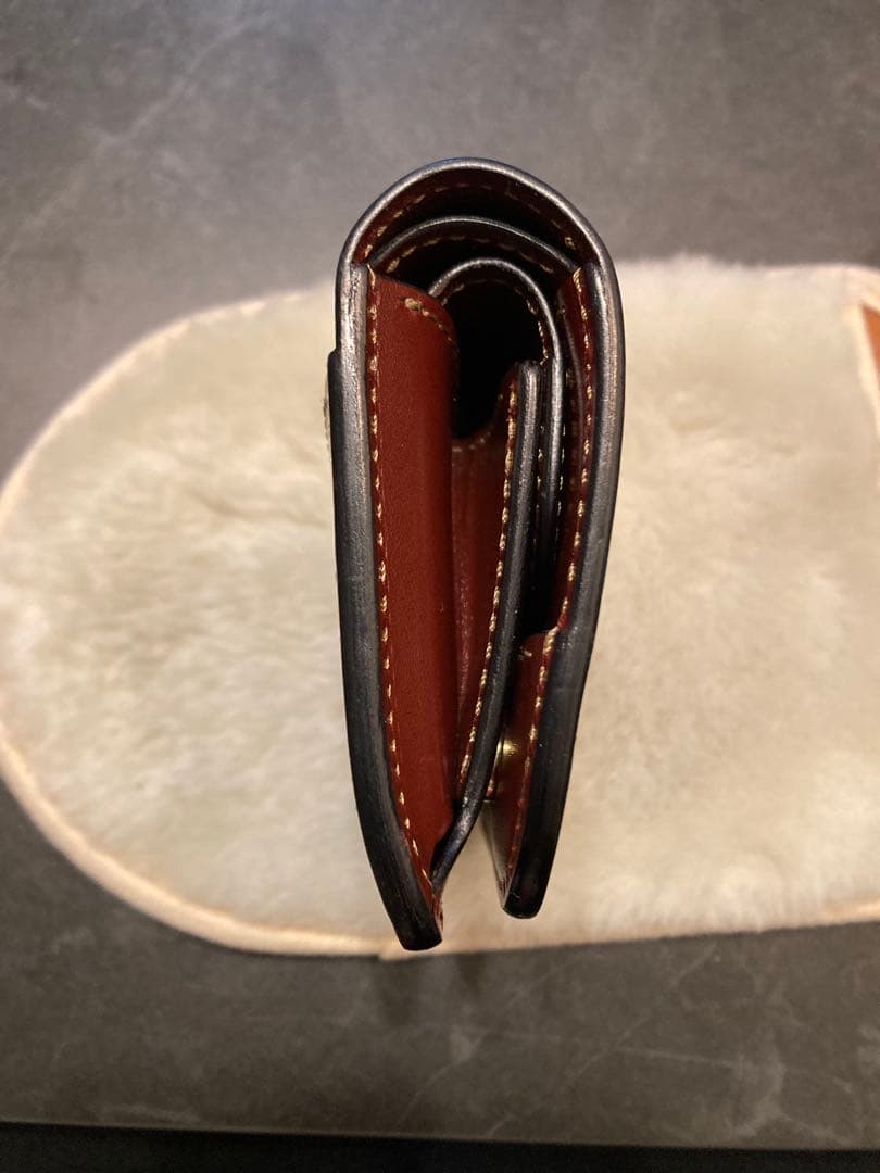 ワイルドスワンズ　CASA 限定色　バーガンディ